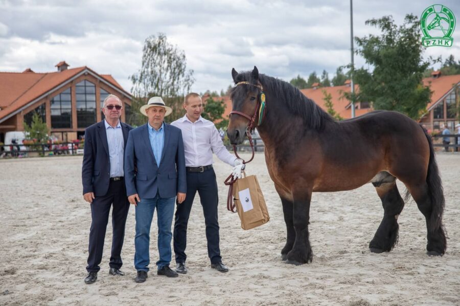 TYTAN ard.pol. (Baron – Terma / Ugo du Bourbeau)