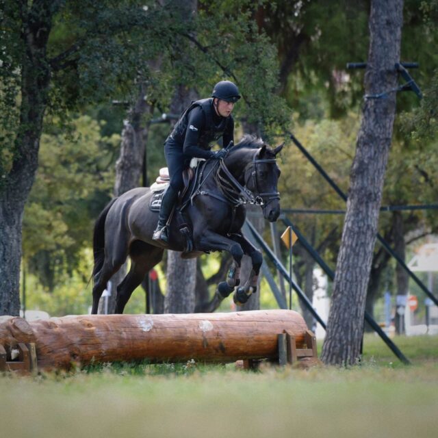 BRAVADO sp (Vigo Heywood H Z - Bryza sp / Corleone Z)