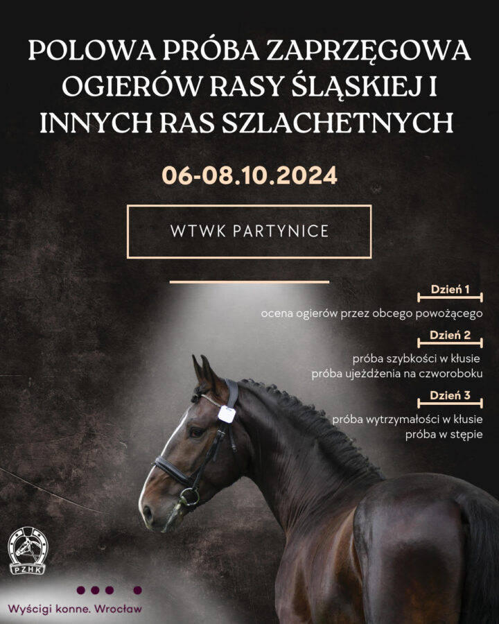 Polowa próba zaprzęgowa ogierów rasy śląskiej i innych ras szlachetnych 2024 - plakat