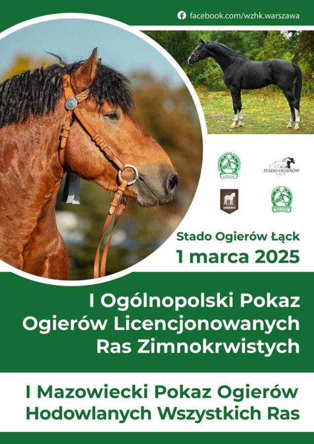 Wiosenne pokazy ogierów w SO Łąck 2025