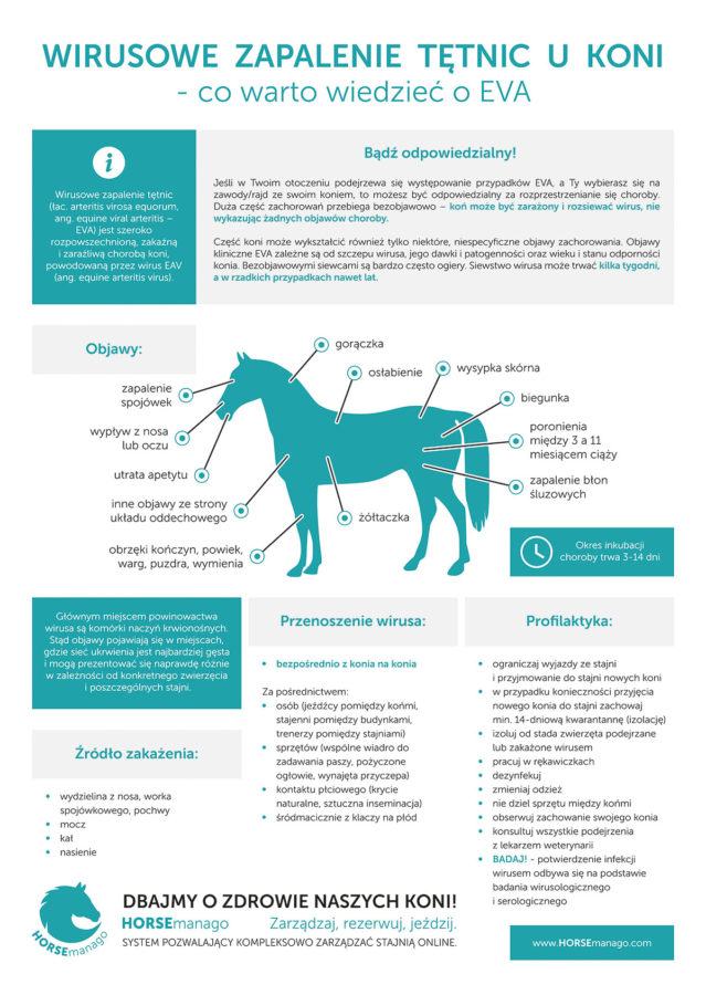 Wirusowe zapalenie tętnic u koni - ulotka
